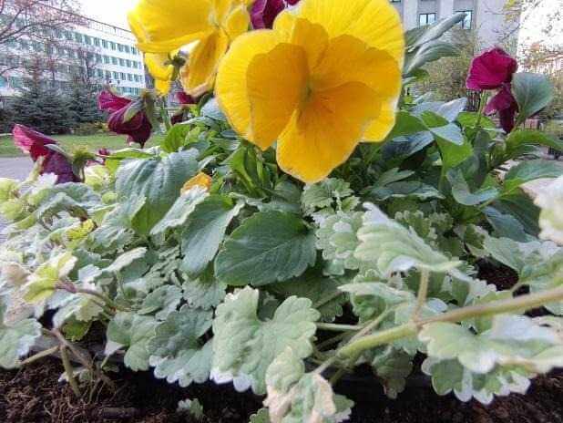 D:\Infinix\Линейка Note 60\Обзор Infinix NOTE 60 Pro\IMG_20260420_174557_781.jpg