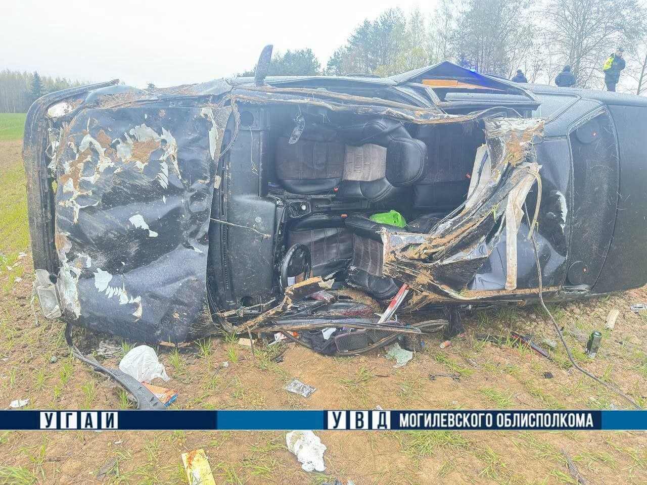 В Могилевском районе иномарка сбила лося: трое человек в больнице