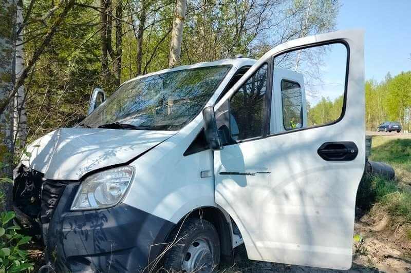 В Могилевском районе грузовик врезался в дерево — водитель погиб