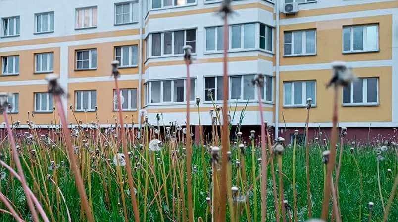Стало известно какой будет погода в Могилеве в последнюю неделю мая