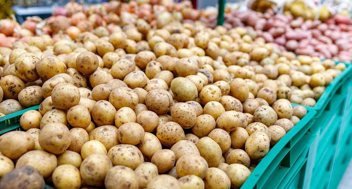 На Минском рынке в Могилеве появилась молодая картошка — сколько стоит?