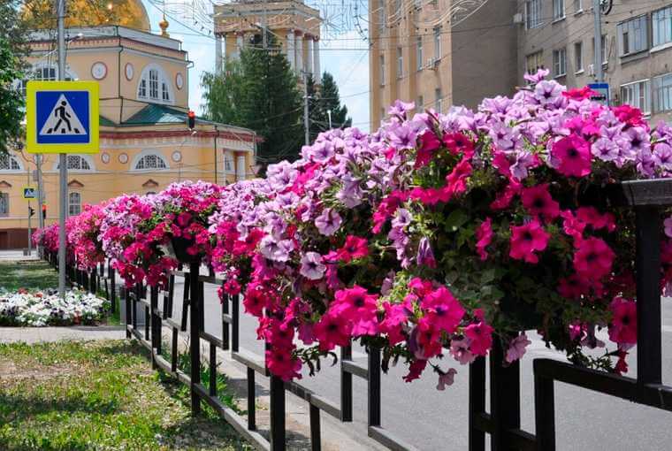 Какой будет погода на Могилевщине в начале следующей недели