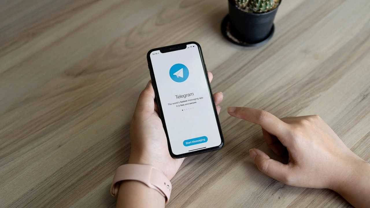 На Могилевщине детские оскорбления в Telegram привели к судебным разборкам