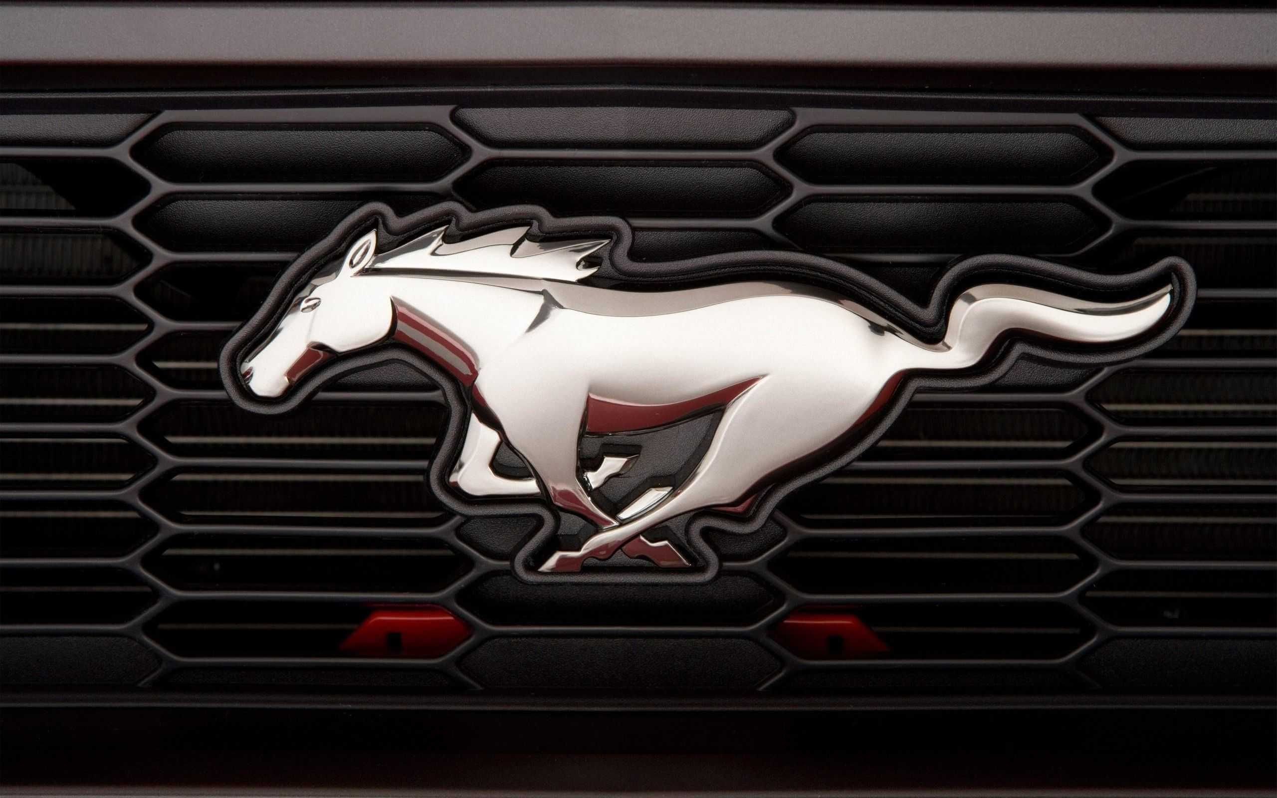 Водитель Ford Mustang на могилевских номерах заехал в переход метро в Москве