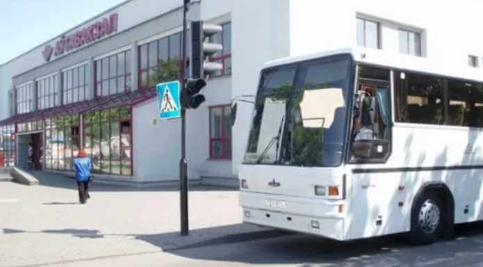 Из Могилева на «Купалье» в Александрию организуют дополнительные автобусные рейсы