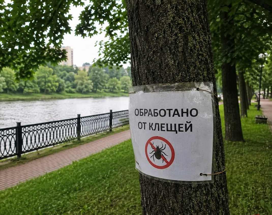 В Могилеве популярную зону отдыха у реки Дубровенка обработали от клещей