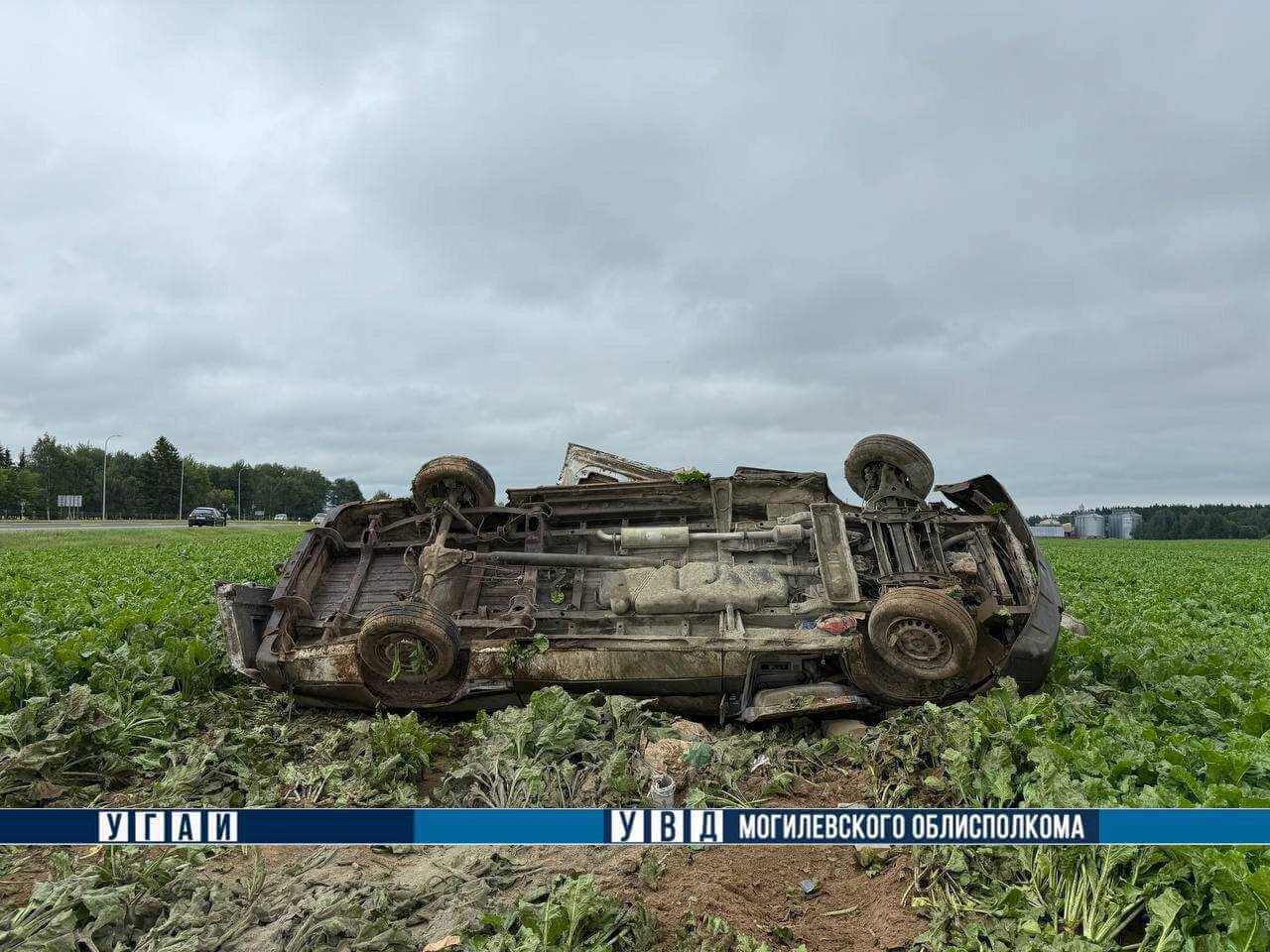 В Могилевском районе грузовик вылетел в кювет и перевернулся — водитель в больнице
