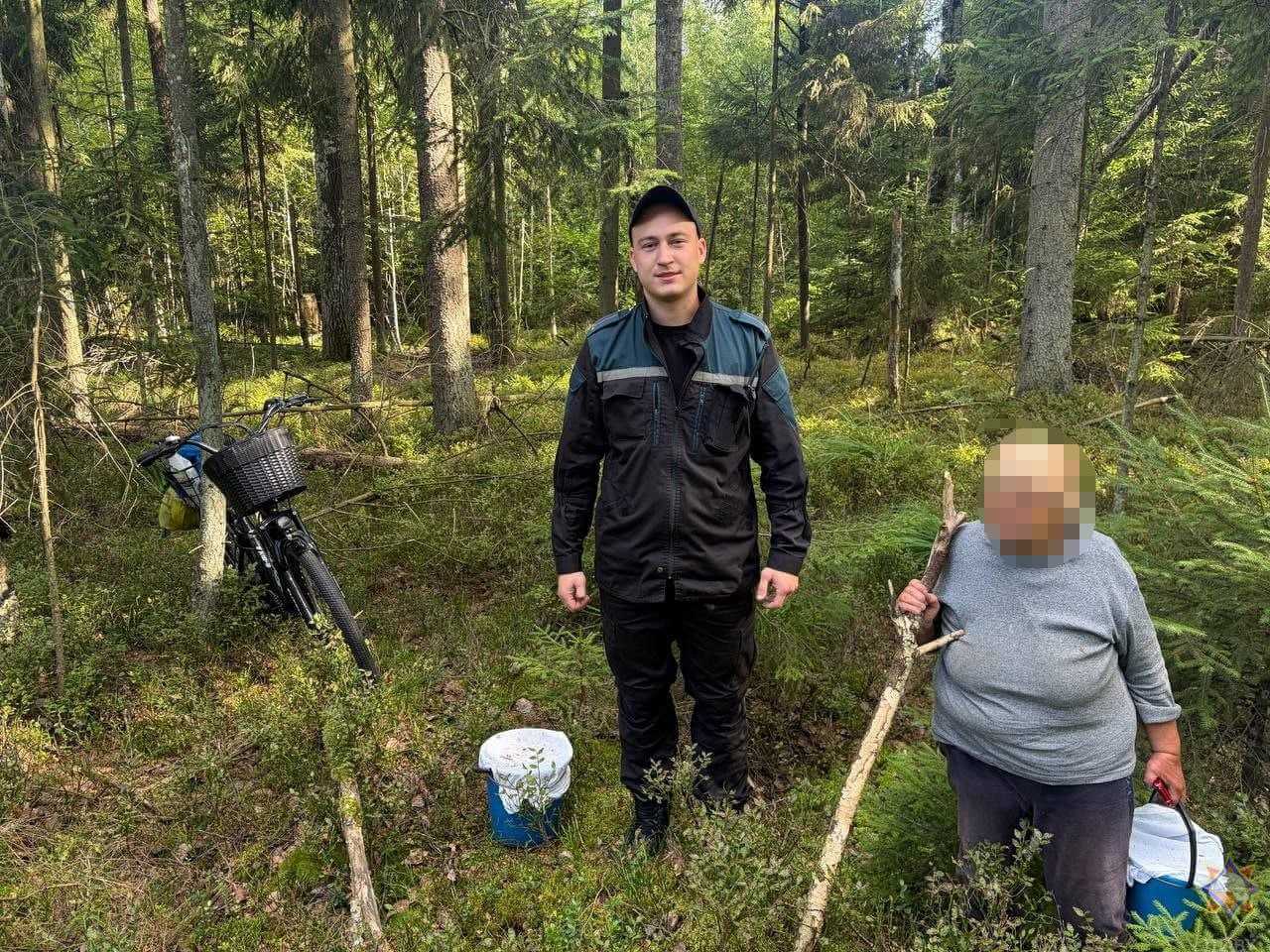 За сутки в лесах на Могилевщине заблудились три пенсионера