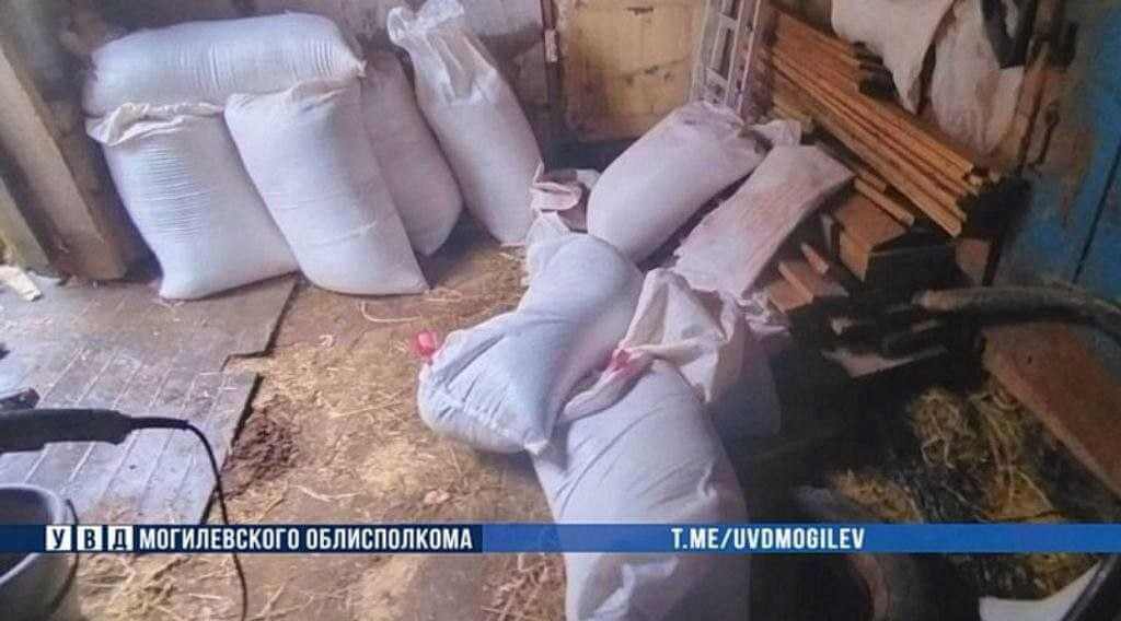 На Могилевщине животновод умудрился почти два месяца кормить свой домашний скот из кармана работодателя